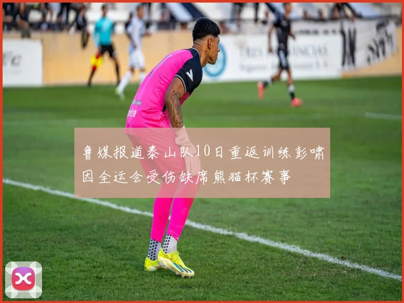 鲁媒报道泰山队10日重返训练彭啸因全运会受伤缺席熊猫杯赛事
