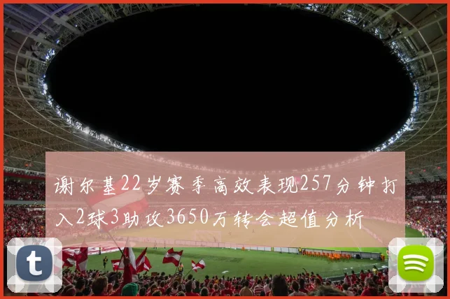 谢尔基22岁赛季高效表现257分钟打入2球3助攻3650万转会超值分析